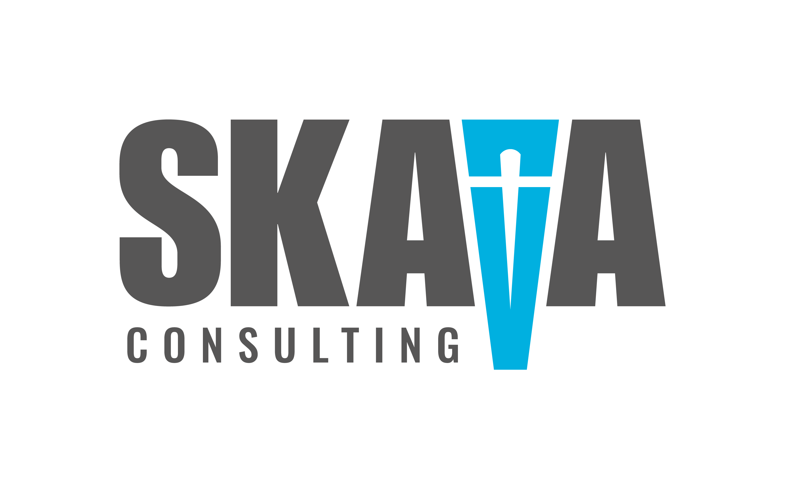 logo_SKAVA_sinfondo